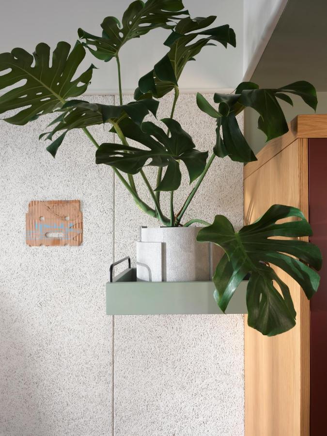 Ace Hotel Sydney Exterior foto Monstera deliciosa